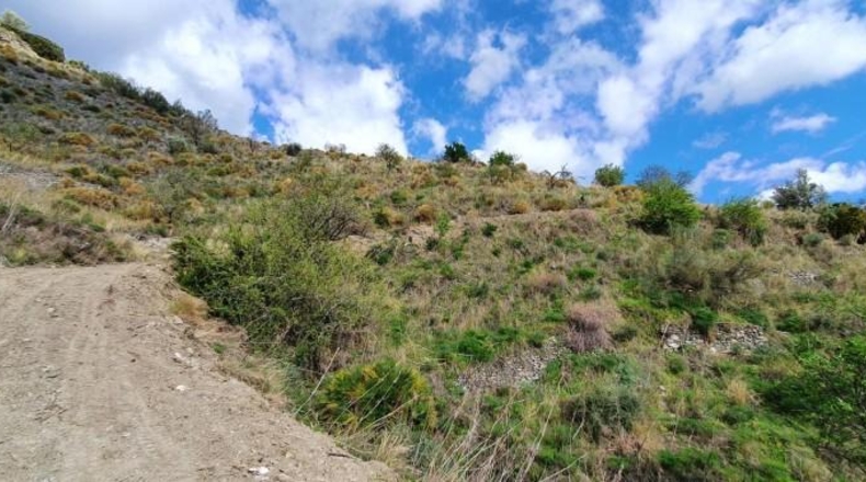Granada - Almuñécar - 7000m2