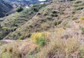 Non-developable land for sale on España, La Herradura, ref: TR356343 photo
