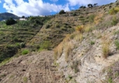 Non-developable land for sale on España, La Herradura, ref: TR356343 photo