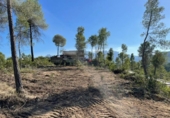 Sòl urbà en venda a la España, Castellgalí, ref.: TR366920 foto
