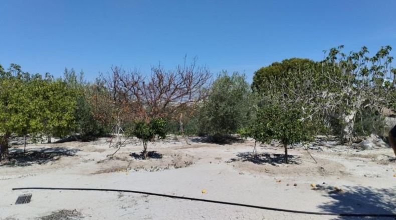 Мурсия - Molina de Segura - 1819m2