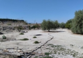 Terreno no urbanizable en venta en la España, Molina de Segura, ref: TR366630 foto
