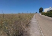 Sòl urbà en venda a la España, Fuente Álamo, ref.: TR293130 foto