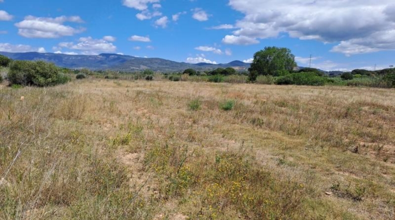 Tarragona - Riudoms - 16166m2