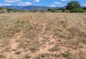 Parcela urbanizable en venta en la España, Riudoms, ref: TR130925 foto