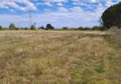 Parcela urbanizable en venta en la España, Riudoms, ref: TR130925 foto