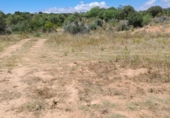 Parcela urbanizable en venta en la España, Riudoms, ref: TR130925 foto