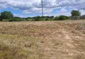 Parcela urbanizable en venta en la España, Riudoms, ref: TR130925 foto