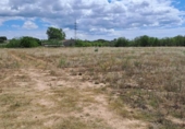 Parcela urbanizable en venta en la España, Riudoms, ref: TR130925 foto
