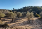 Земля, подлежащая урбанизации на продажу у города Corbera d'Ebre Фото