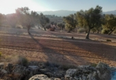 Земля, подлежащая урбанизации на продажу у города Corbera d'Ebre Фото