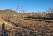 Земля, подлежащая урбанизации на продажу у города Corbera d'Ebre Фото