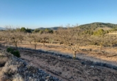 Земля, подлежащая урбанизации на продажу у города Corbera d'Ebre Фото