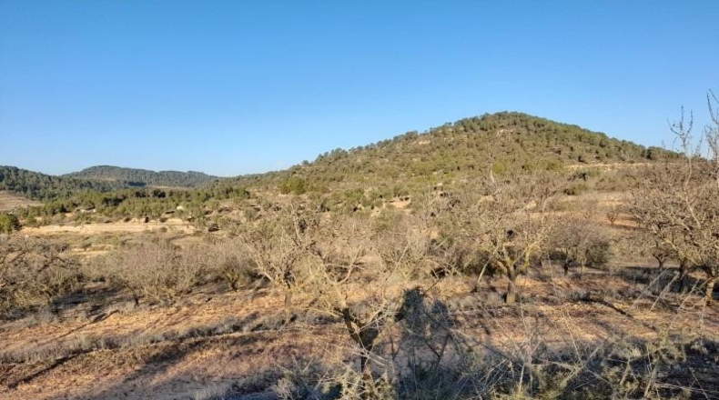 Tarragona - Corbera d'Ebre - 83965m2