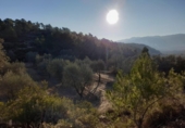Земля, подлежащая урбанизации на продажу у города Corbera d'Ebre Фото