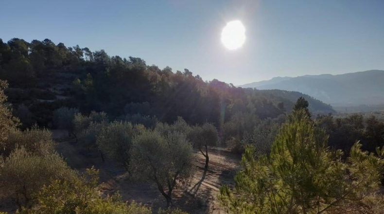 Tarragona - Corbera d'Ebre - 83965m2
