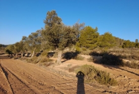 Foto 12