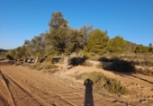 Земля, подлежащая урбанизации на продажу у города Corbera d'Ebre Фото