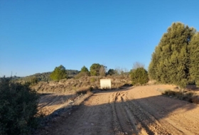 Foto 15