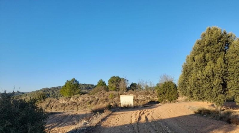 Tarragona - Corbera d'Ebre - 83965m2