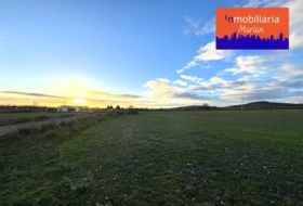 Aranda de Duero 7280&nbsp;m²