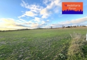 Non-developable land for sale on España, Aranda de Duero, ref: TR126270 photo