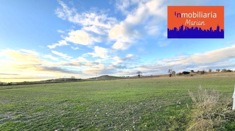 Burgos - Aranda de Duero - 7280m2