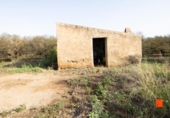 Terreno con Almacén en venta en la España, Santa Bàrbara, ref: TR299157 foto