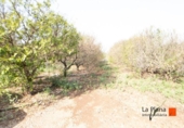 Terreno con Almacén en venta en la España, Santa Bàrbara, ref: TR299157 foto