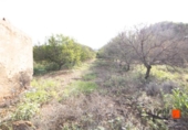 Terreno con Almacén en venta en la España, Santa Bàrbara, ref: TR299157 foto