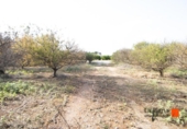 Terreno con Almacén en venta en la España, Santa Bàrbara, ref: TR299157 foto
