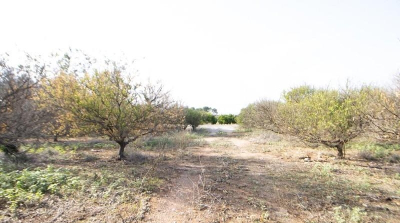 Tarragona - Santa Bàrbara - 8510m2
