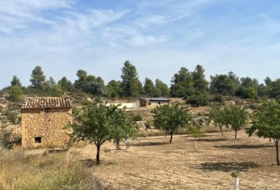 Foto 10
