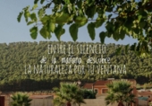 Suelo urbano en venta en la España, Humilladero, ref: TR119031 foto