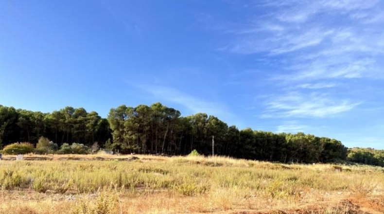 Málaga - Humilladero - 526m2