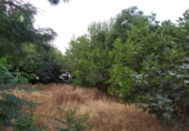Parcel·la urbanitzable en venda a la España, Múrcia, ref.: TR328525 foto