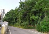 Parcel·la urbanitzable en venda a la España, Múrcia, ref.: TR328525 foto