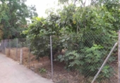Parcel·la urbanitzable en venda a la España, Múrcia, ref.: TR328525 foto