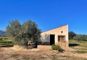 Casa de camp amb terreny en venda a la España, Aldover, ref.: TR370423 foto