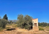 Casa de camp amb terreny en venda a la España, Aldover, ref.: TR370423 foto