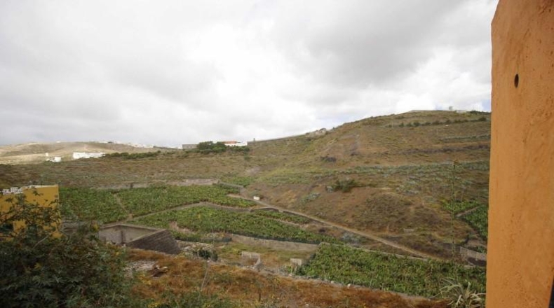 Las Palmas - Las Palmas de Gran Canaria - 726m2