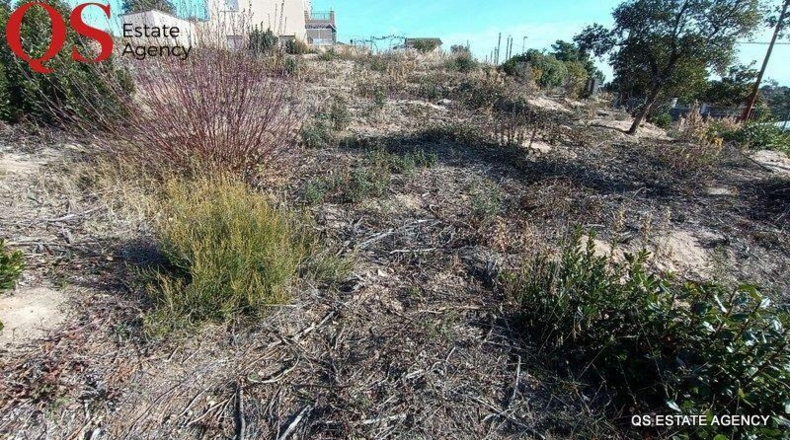 Gerona - Riudarenes - 1105m2
