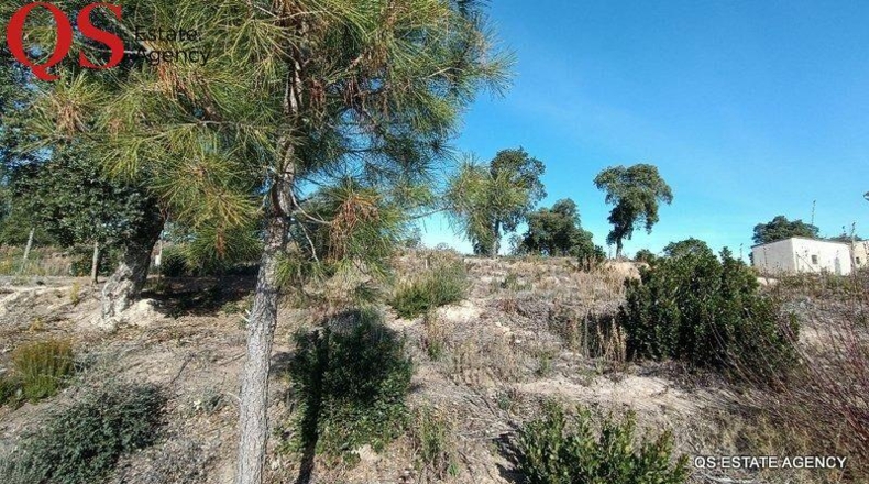 Gerona - Riudarenes - 1105m2