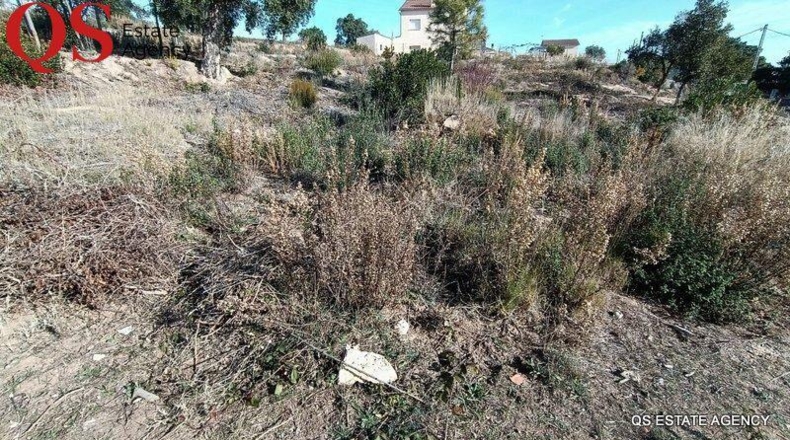 Gerona - Riudarenes - 1105m2