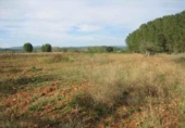 Terreno no urbanizable en venta en la España, Cabañas Raras, ref: TR114583 foto