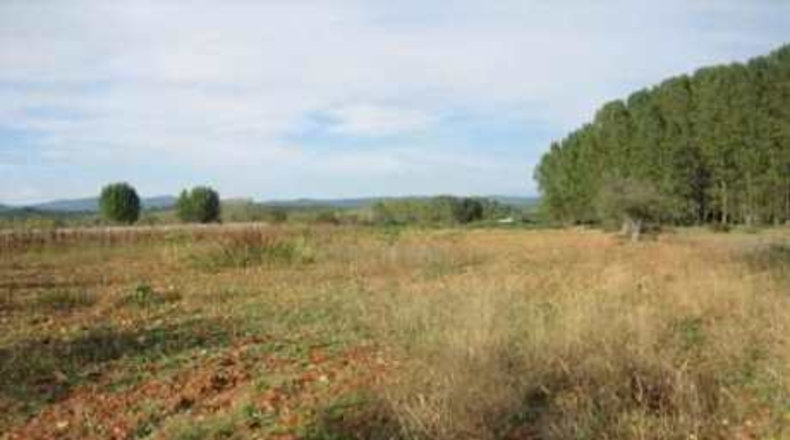 Leon - Cabañas Raras - 5000m2