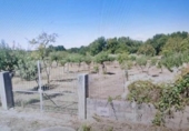 Parcel·la urbanitzable en venda a la España, Amoeiro, ref.: TR131463 foto