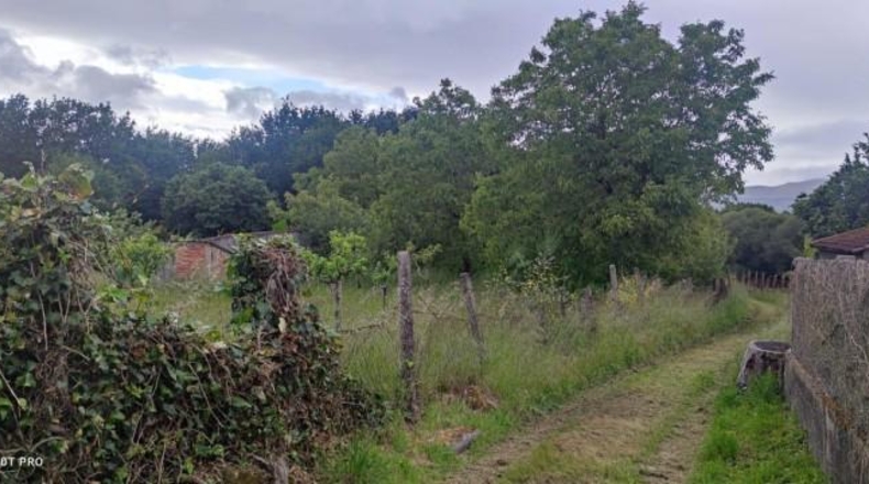 Orense - Amoeiro - 1640m2