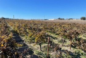 Sanlúcar de Barrameda 4151&nbsp;m² 