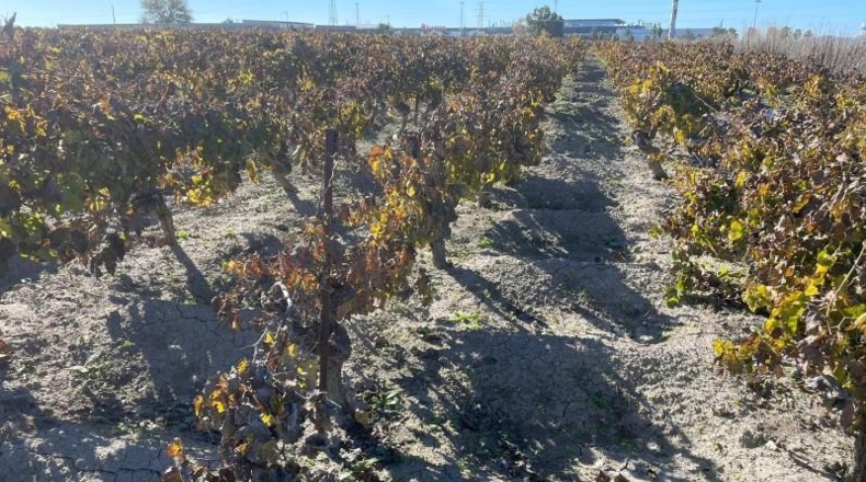 Cádiz - Sanlúcar de Barrameda - 4151m2